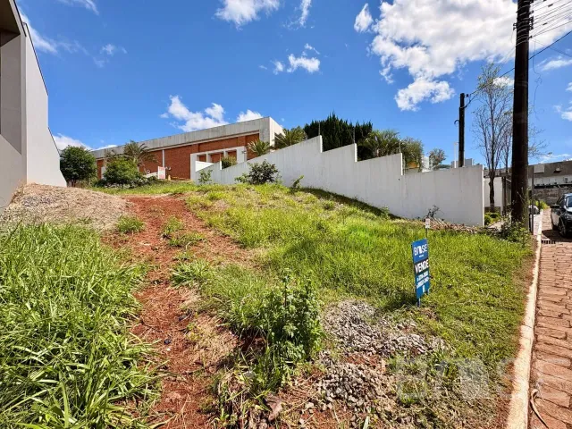 Terreno, foto 3