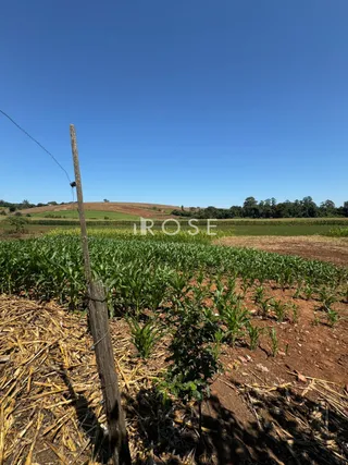 Área rural, foto 18