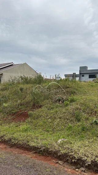 Vista externa de terreno com vegetação densa em Lajeado, Brasil.