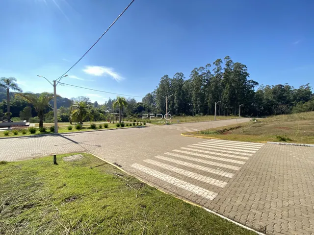 Terreno, foto 3