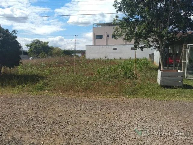 Terreno, foto 2