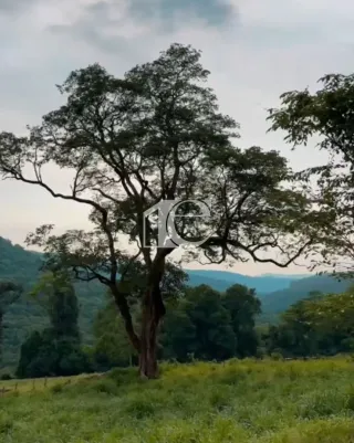 Área rural com 3 dormitórios, foto 7