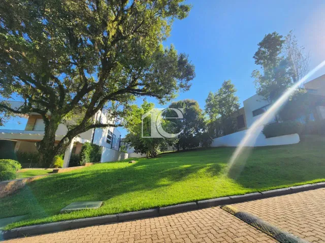 Terreno, foto 5