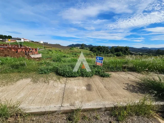 Terreno, foto 3
