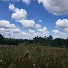 Terreno, foto 8