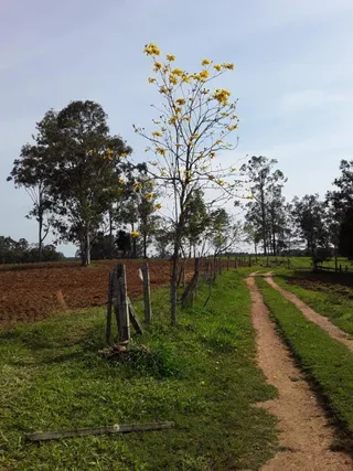 Área rural com 2 dormitórios, foto 6