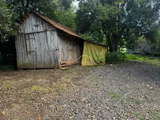 Estrutura rústica de madeira com cobertura amarela em área externa.