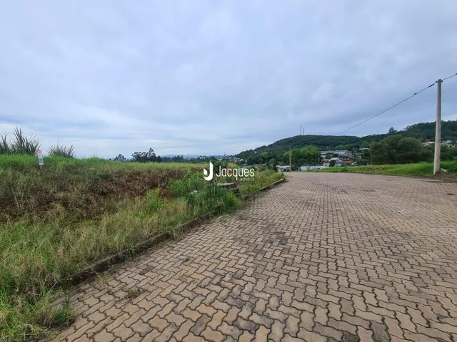 Vista da estrada e vegetação ao longo de uma propriedade em Lajeado.