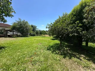 Terreno, foto 3