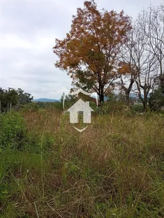Terreno, foto 3