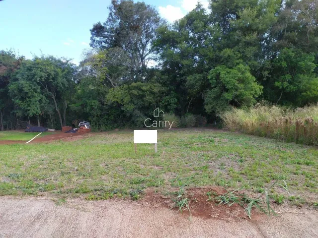 Terreno