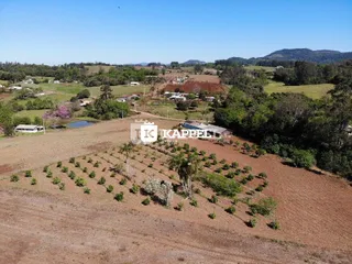 Vista de uma área de campo seco com vegetação rasteira e colinas ao fundo.