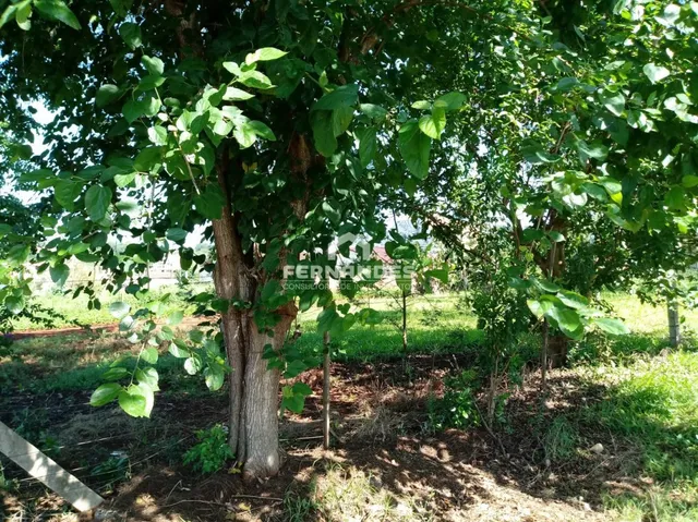 Terreno, foto 2