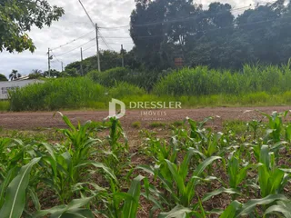Terreno, foto 3