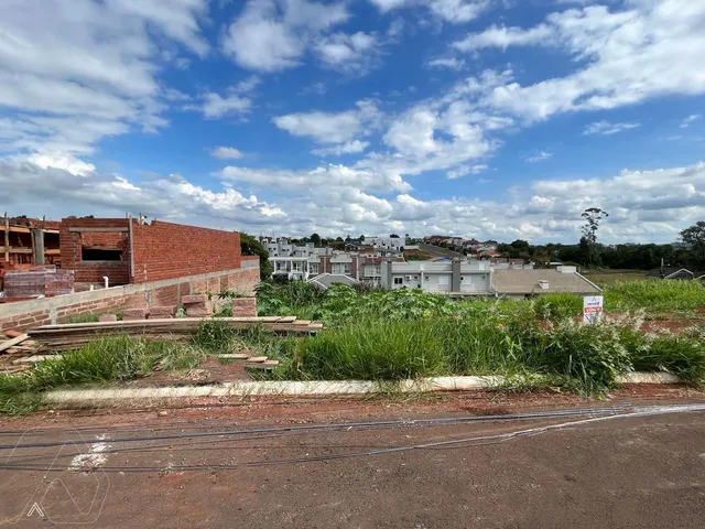 Terreno