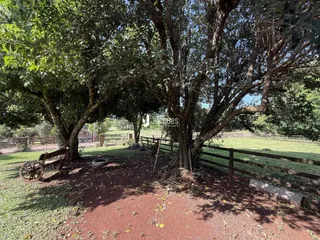 Vista externa de uma propriedade com árvores e cerca de madeira.