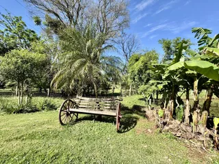 Área rural com 3 dormitórios, foto 22