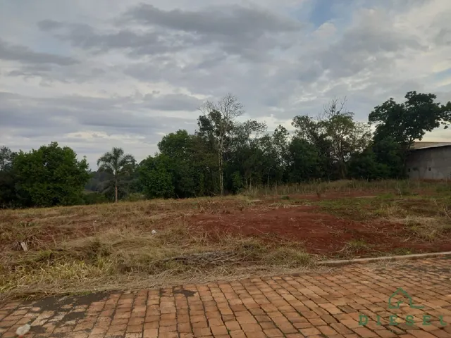 Terreno, foto 3