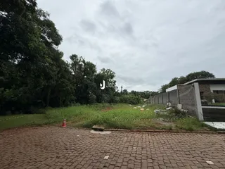 Vista da propriedade com vegetação e muro de divisa.