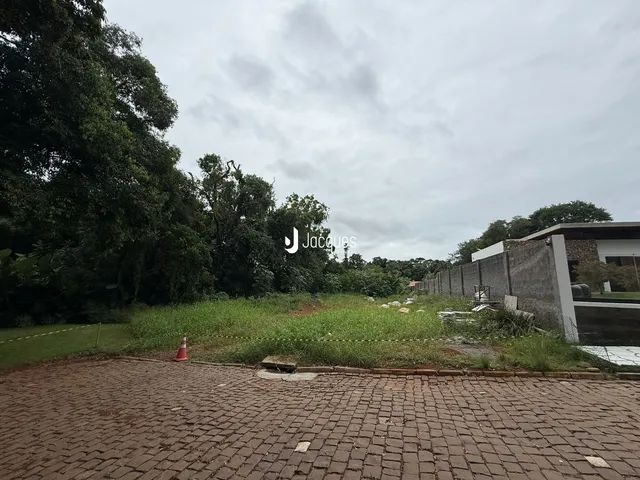 Vista da propriedade com vegetação e muro de divisa.