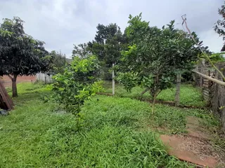 Casa com 3 dormitórios, foto 4