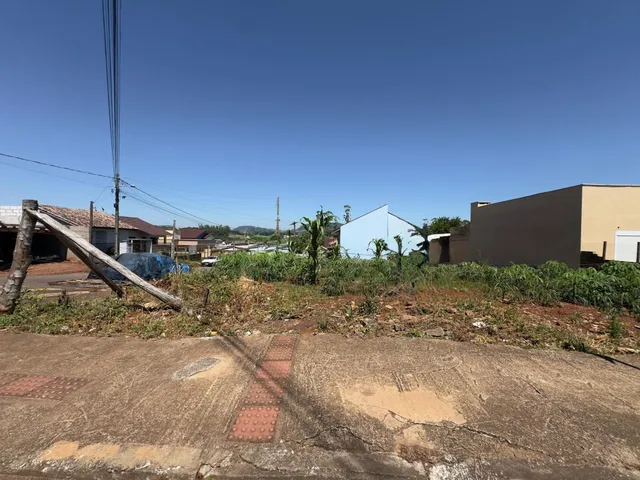 Vista externa de uma propriedade com vegetação ao lado de uma estrada.