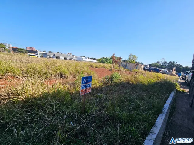 Terreno, foto 4