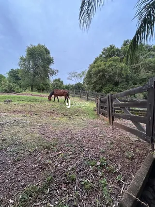 Paisagem de campo com cerca de madeira e um cavalo em uma propriedade em Lajeado.
