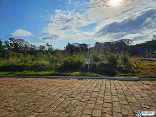 Terreno, foto 3