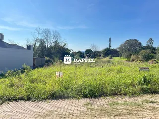 Terreno, foto 6