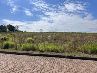 Vista de um campo aberto com grama seca sob um céu azul.