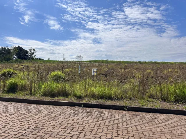 Vista de um campo aberto com grama seca sob um céu azul.
