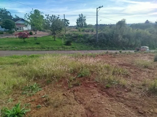 Terreno, foto 3