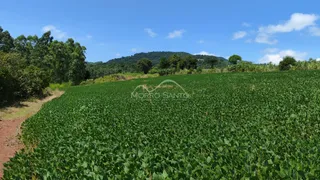 Área rural, foto 3