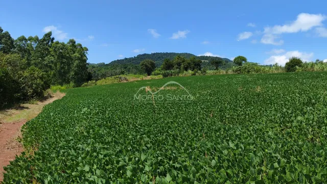 Área rural, foto 3