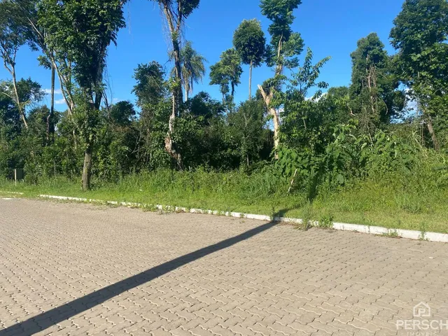 Terreno, foto 2