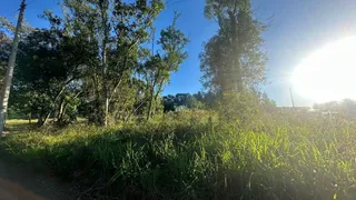 Área rural, foto 2