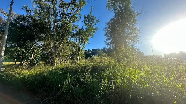 Área rural, foto 2