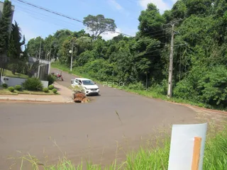 Vista da rua e vegetação ao lado de uma estrada em Lajeado.