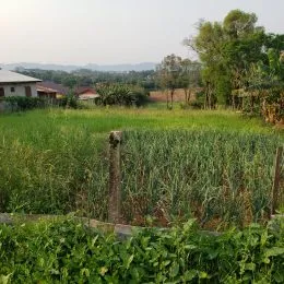 Área rural, foto 2