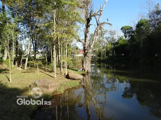 Paisagem de riacho com árvores e vegetação ao redor.