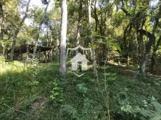 Área rural com 6 dormitórios, foto 6