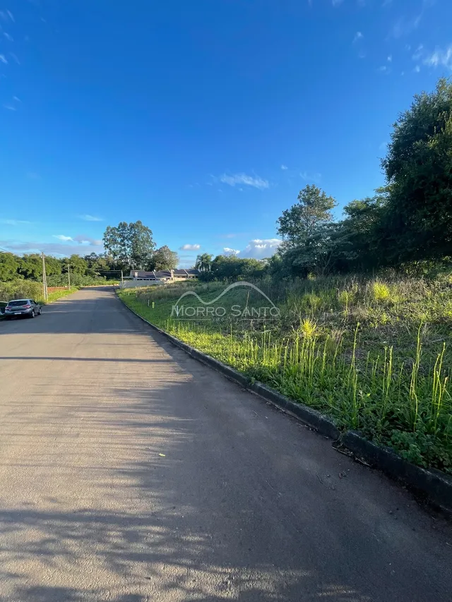 Vista da estrada e área verde ao ar livre em Lajeado, Brasil.