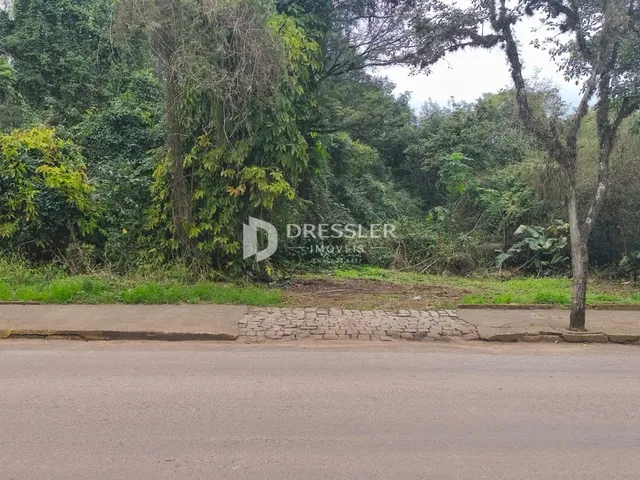 Terreno, foto 2