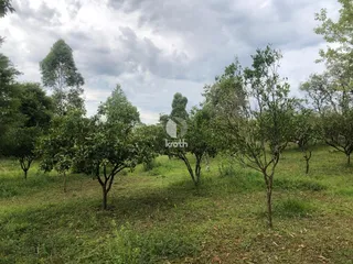 Área rural, foto 8