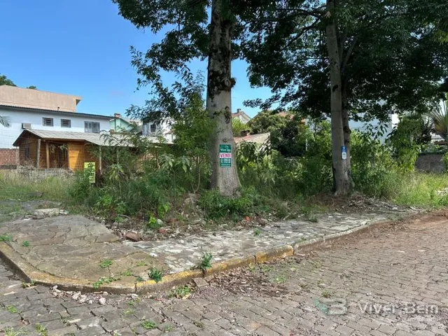 Terreno, foto 2