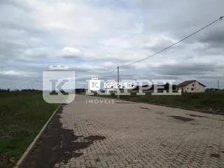 Vista de uma estrada de terra em uma propriedade rural.