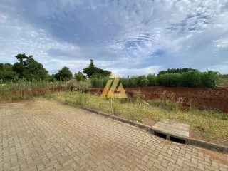 Terreno, foto 2