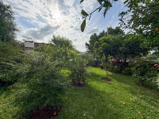 Casa com 3 dormitórios, foto 19