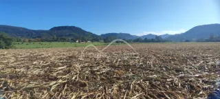 Vista de um campo aberto com vegetação seca no horizonte.